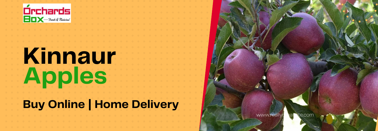 How To Buy Kinnaur Apples and Its Health Benefits