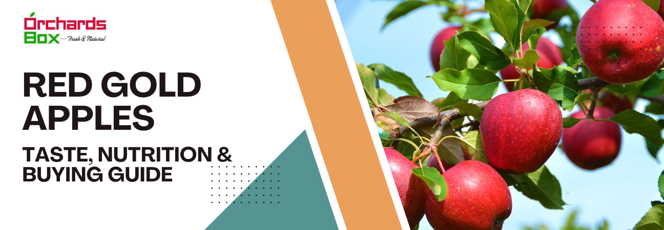 Red Gold Apples: Taste, Nutrition & Buying Guide