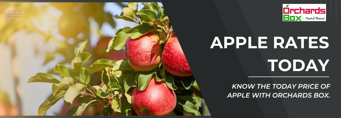 Know Apple Fruit Rates Today: Stay Updated with the Latest Market Price