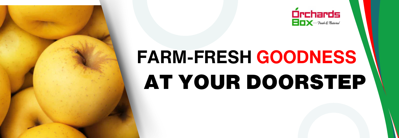 Buy Apple Fruit Online – Farm-Fresh Goodness at Your Doorstep