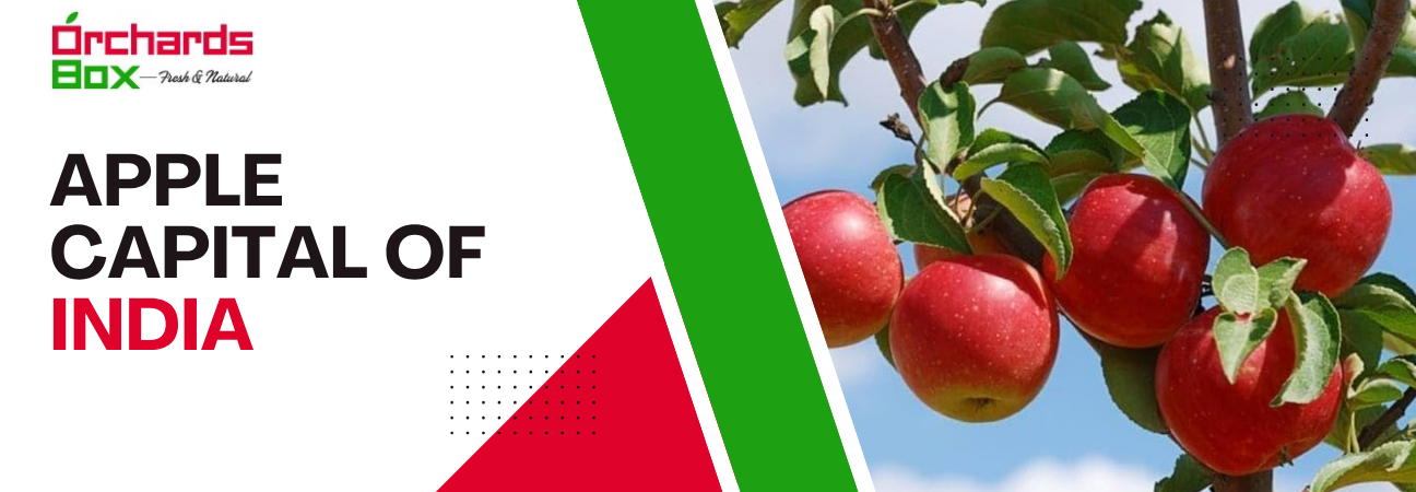 How Himachal Pradesh Became the Apple Capital of India?