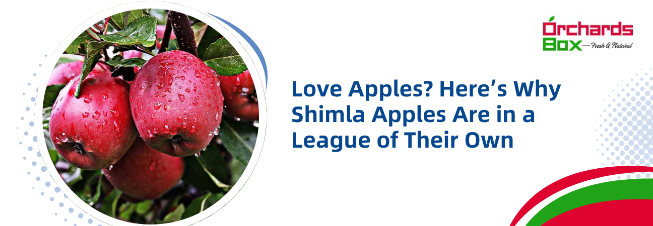 Love Apples? Here’s Why Shimla Apples Are in a League of Their Own
