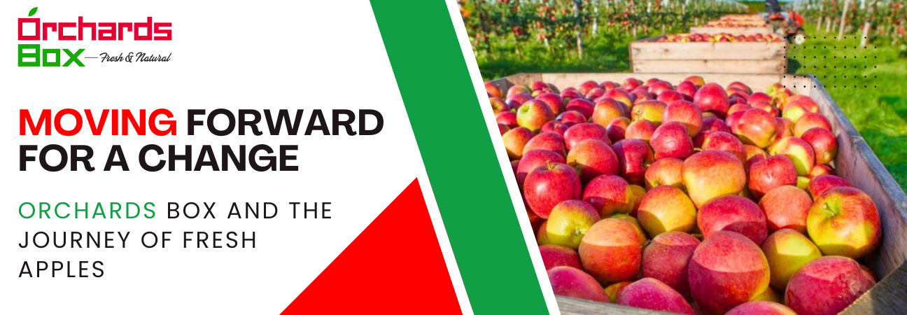 Moving Forward for a Change: Orchards Box and the Journey of Fresh Apples