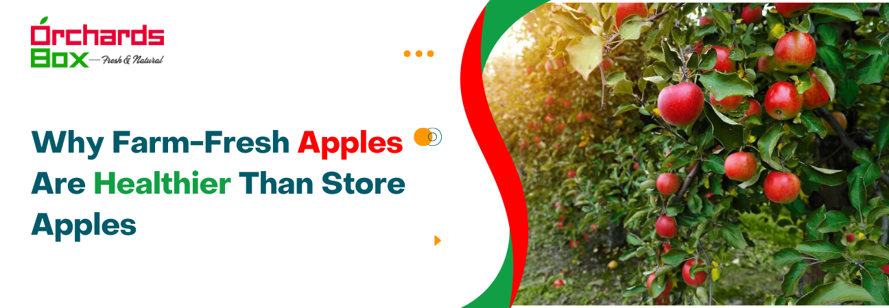 Why Farm-Fresh Apples Are Healthier Than Store Apples