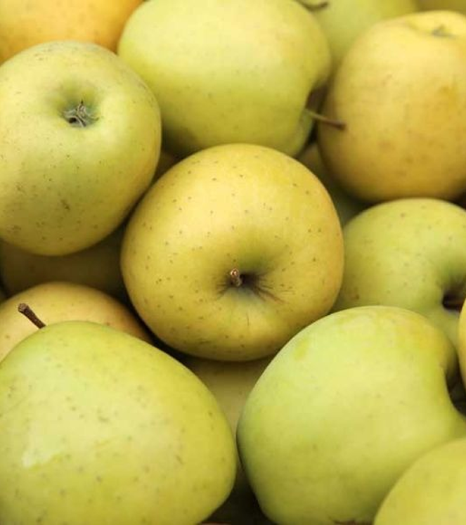 Fresh Golden Delicious apples from Shimla, wax-free, by Orchards Box