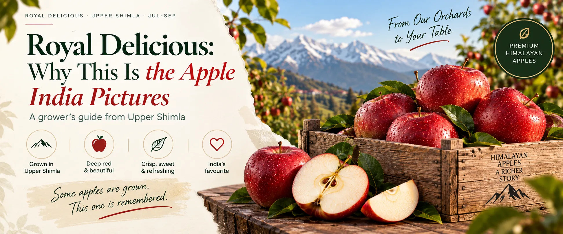 Royal Delicious: Why This Is the Apple India Pictures
