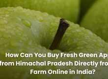 How Can You Buy Fresh Green Apples from Himachal Pradesh Directly from the Farm Online in India?