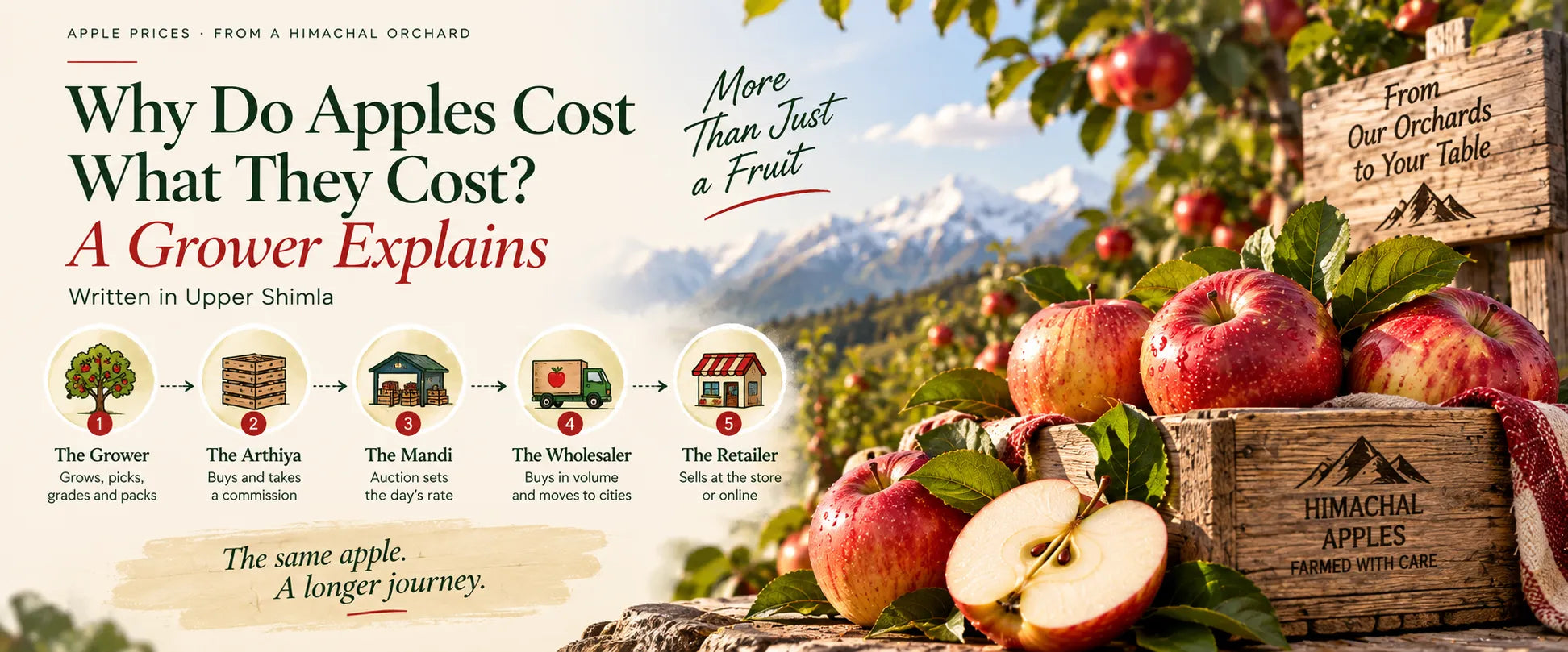 Why Do Apples Cost What They Cost? A Grower Explains