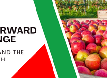 Moving Forward for a Change: Orchards Box and the Journey of Fresh Apples