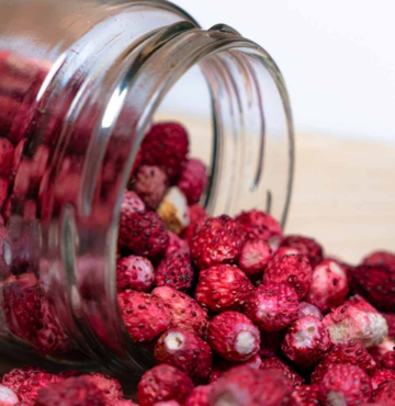 Kafal Wild Berry