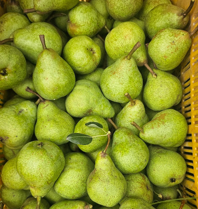 Pears