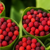 Kafal Wild Berry