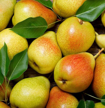 Pears