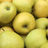 Fresh Golden Delicious apples from Shimla, wax-free, by Orchards Box