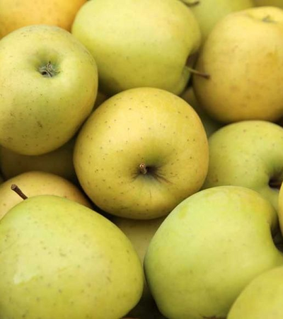 Golden Apples