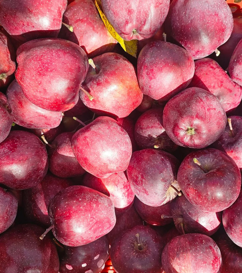 Kinnaur Red Royal Delicious (Mini) Apple
