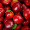 Fresh Red Delicious apples from Kinnaur & Shimla, wax-free, by Orchards Box