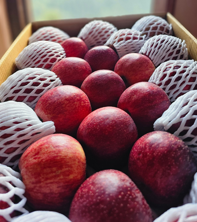 They remember the apples.
