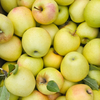 Kinnaur Golden Delicious (Mini)