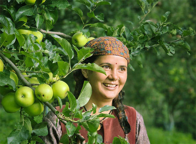 Our farming team