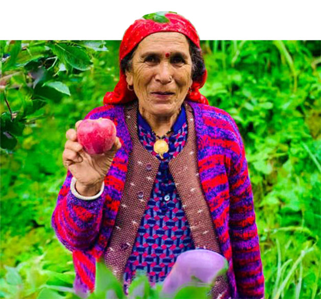 Orchard Workers
