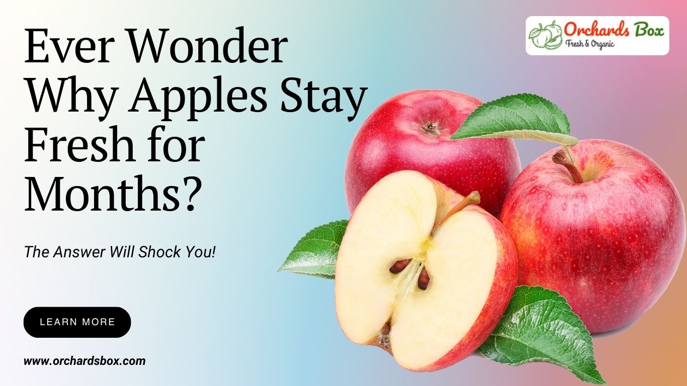 Ever Wonder Why Apples Stay Fresh for Months