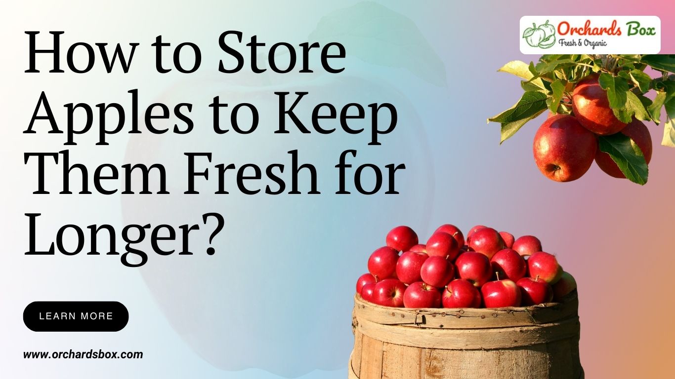 How to Store Apples for Fresh Longer