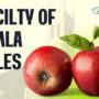 Speciality of Shimla Apples 90x90