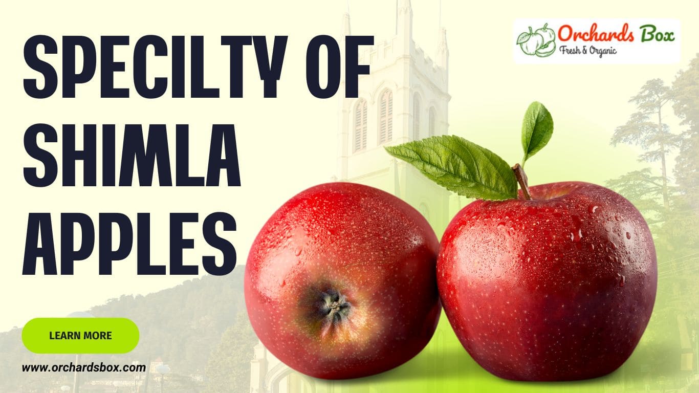 Specialty of Shimla Apples