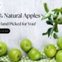 Buy 100 Natural Apples 90x90